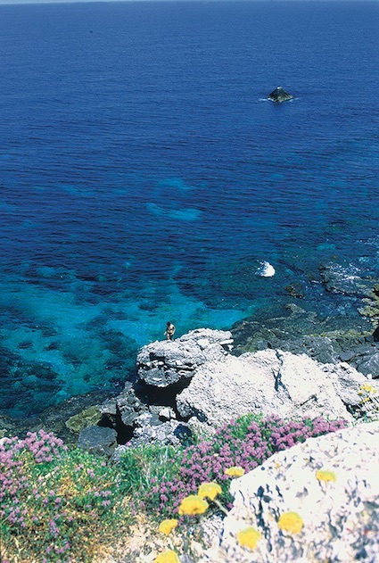 Capo Gallo nature reserve